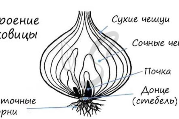 Kraken новая ссылка