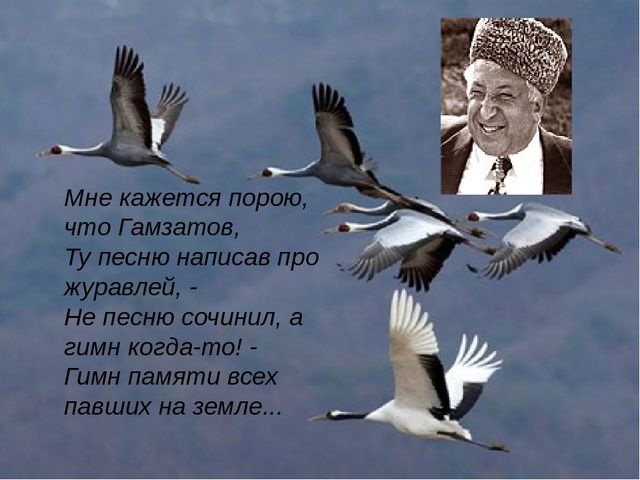Кракен ссылка тор