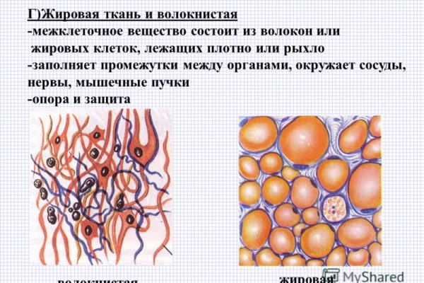 Kraken адрес onion